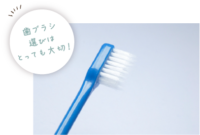 歯ブラシの処方